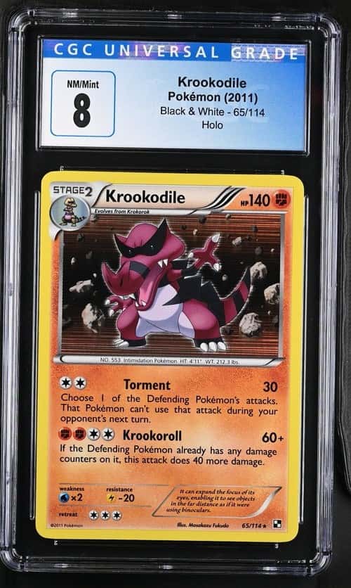 Krookodile