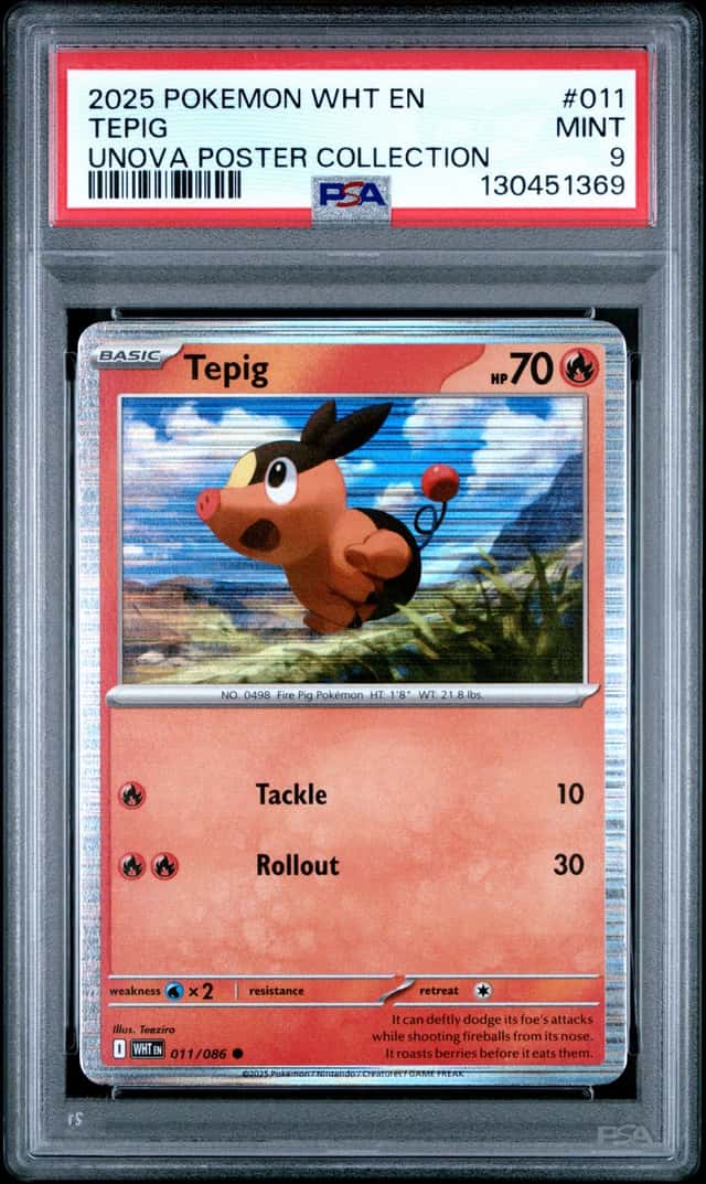 Tepig