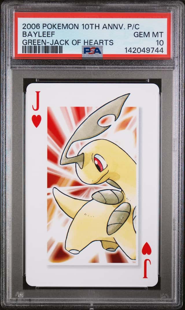 Bayleef
