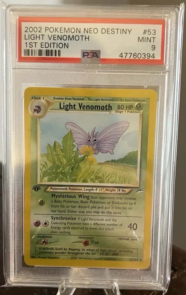 Light Venomoth