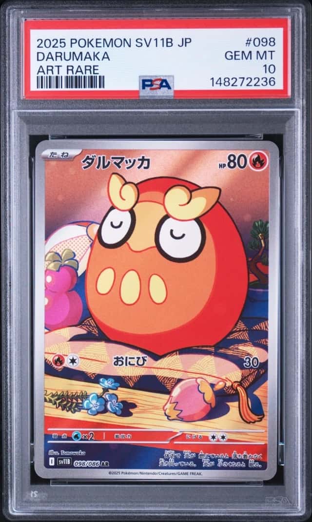 Darumaka