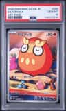 Darumaka