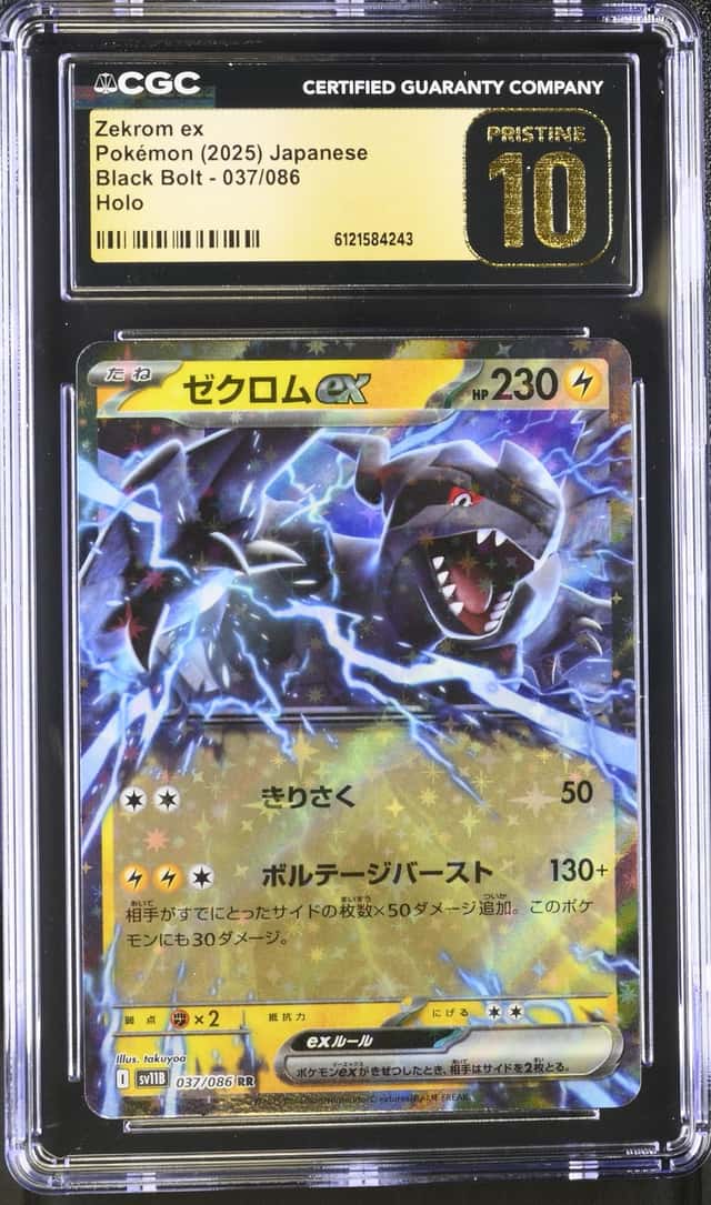 Zekrom ex