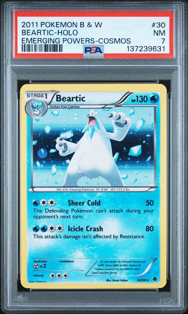 BEARTIC-REV.FOIL