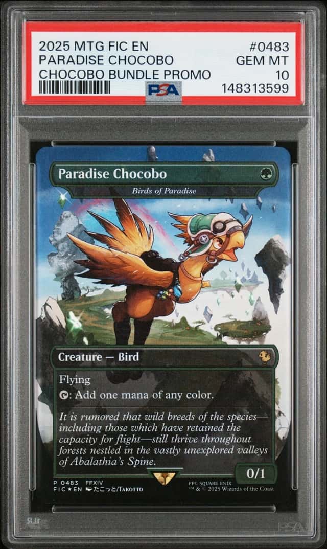 Paradise Chocobo