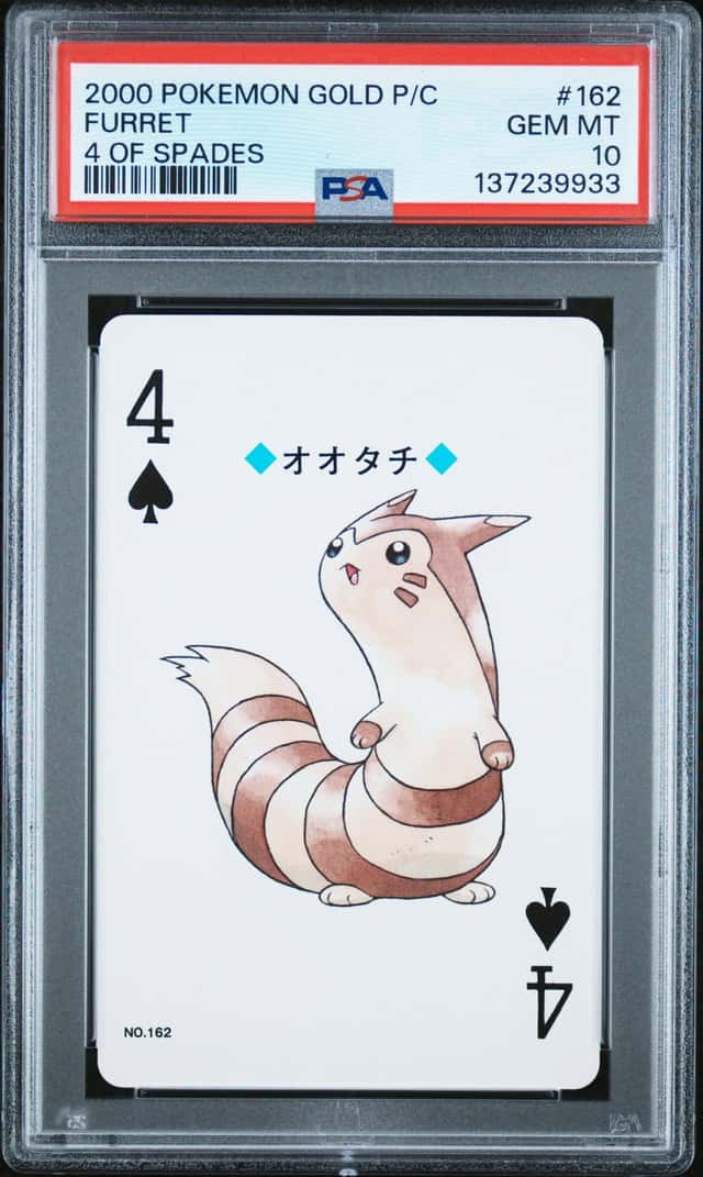 Furret