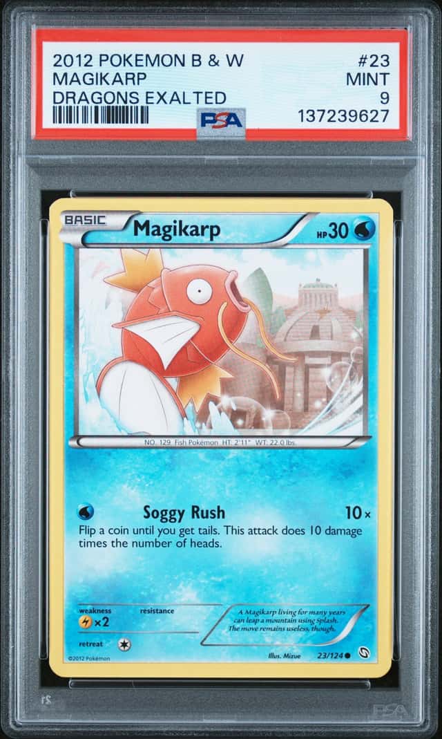 Magikarp