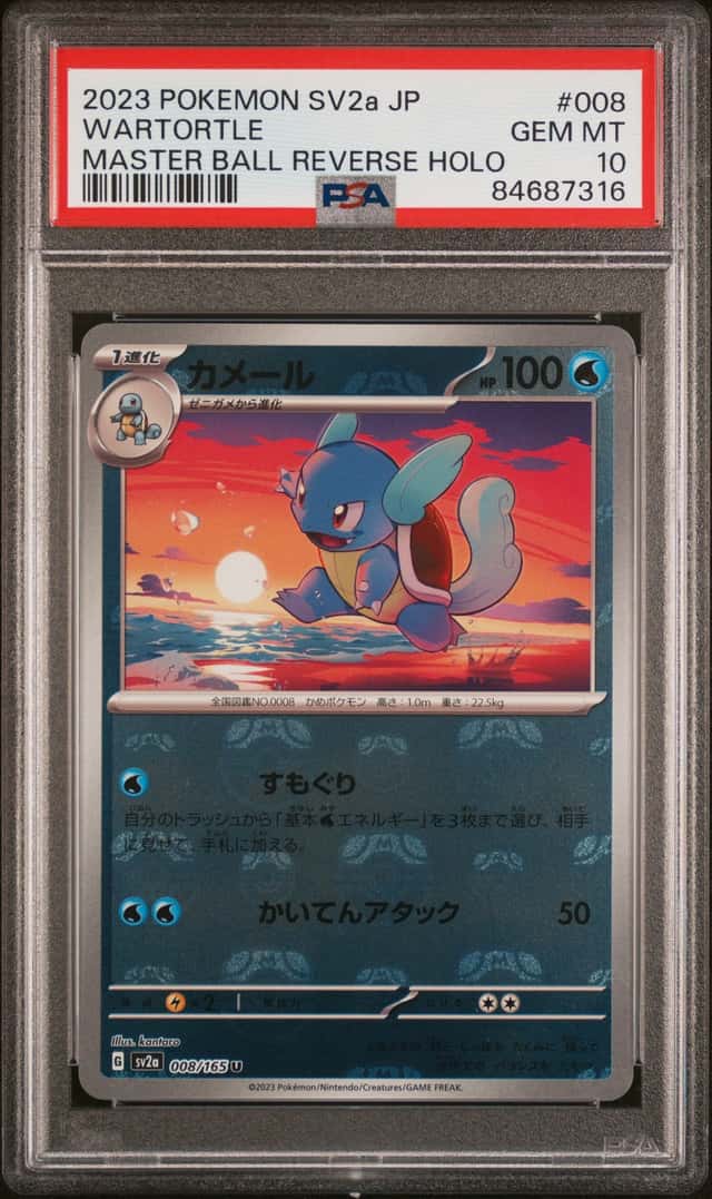 Wartortle