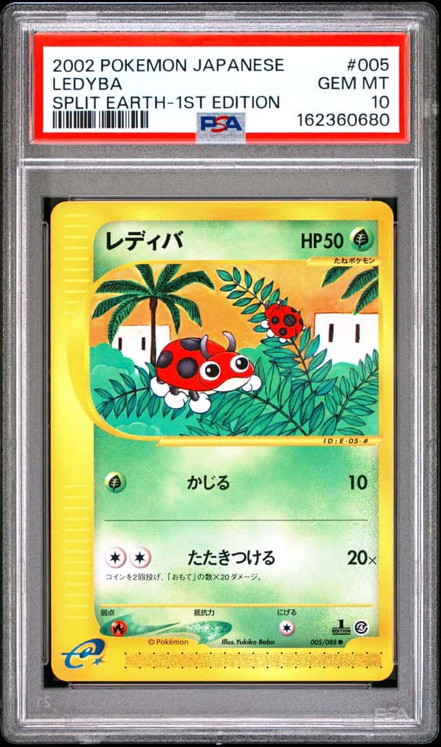 Ledyba