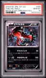 Yveltal