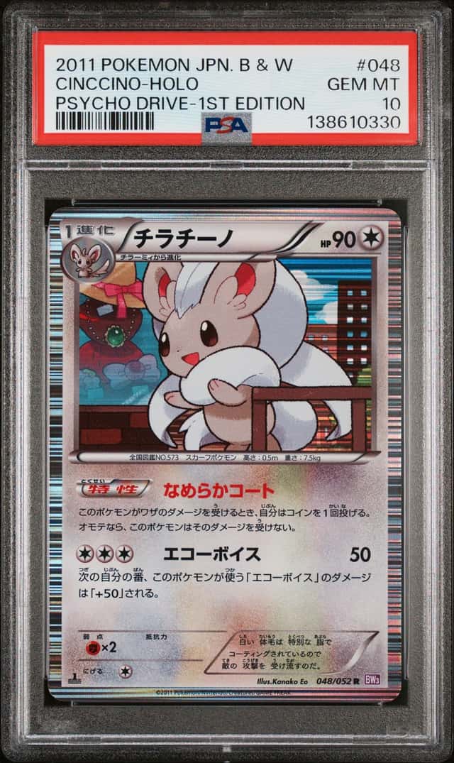 Cinccino