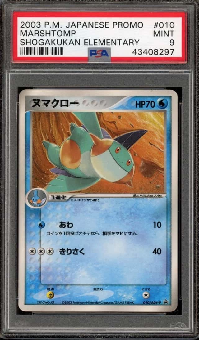 Marshtomp