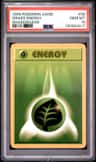 Grass Energy