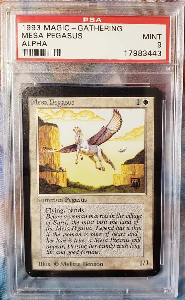 Mesa Pegasus