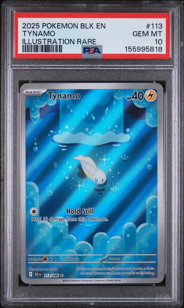 Tynamo