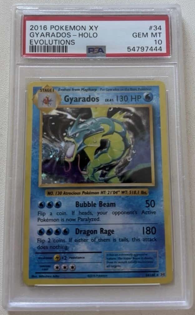Gyarados