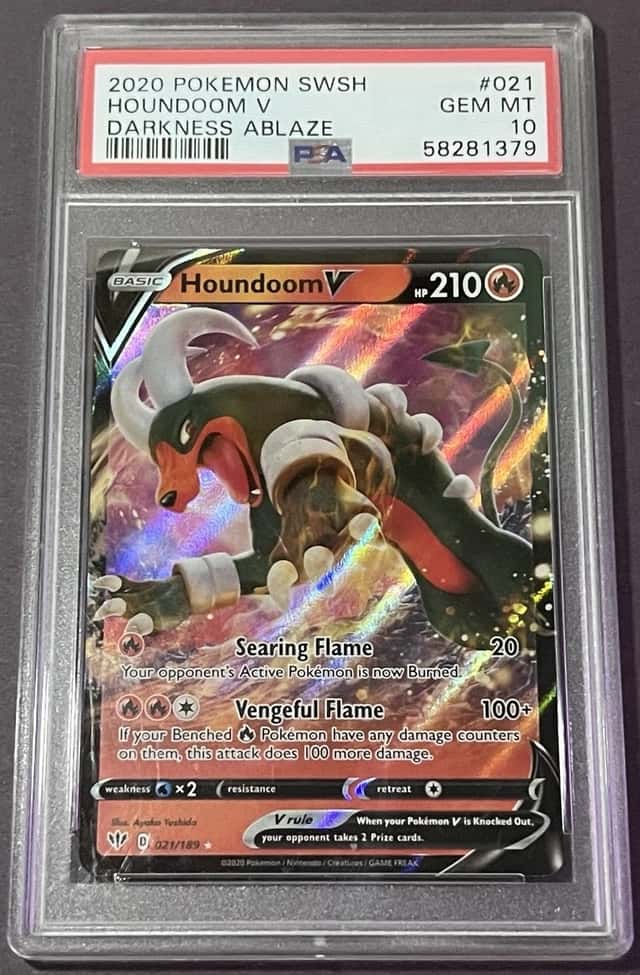 Houndoom V