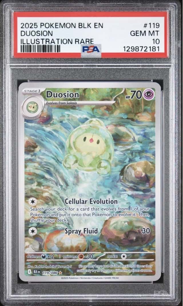 Duosion