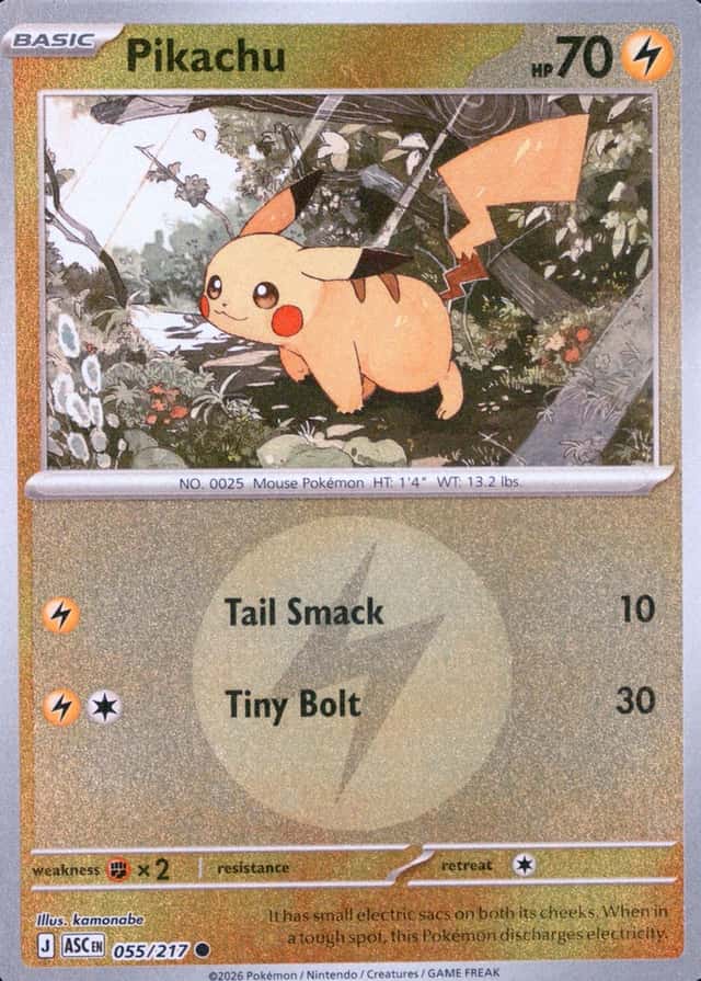 Reverse Holo
