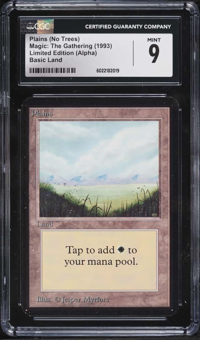 Plains