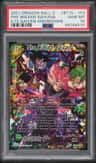 The Wicked Saiyans