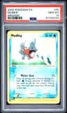 Mudkip