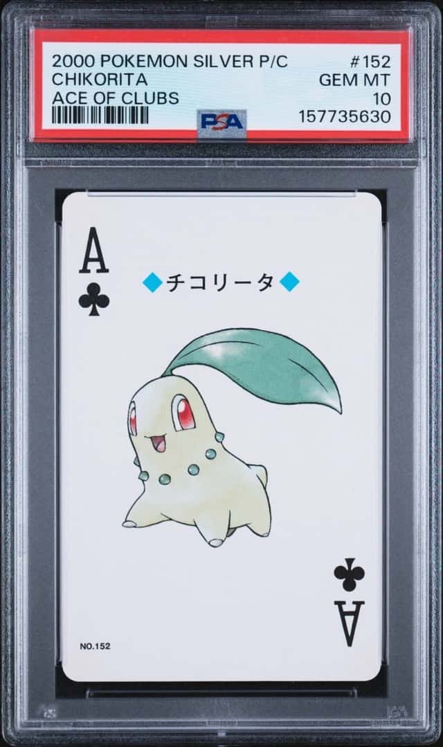 Chikorita
