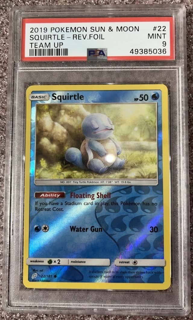 Squirtle