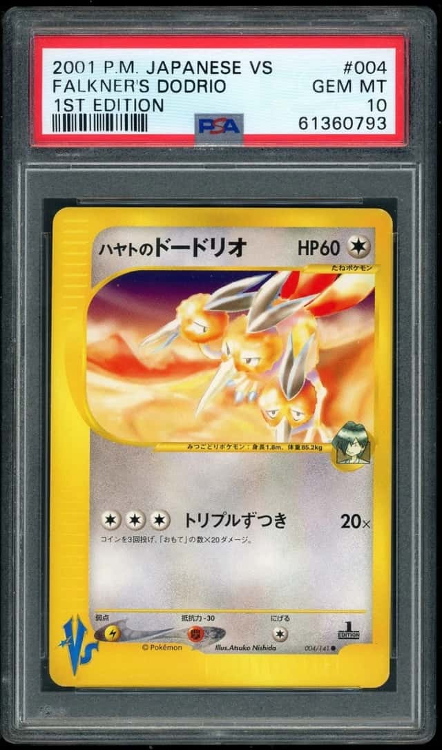 Falkner's Dodrio