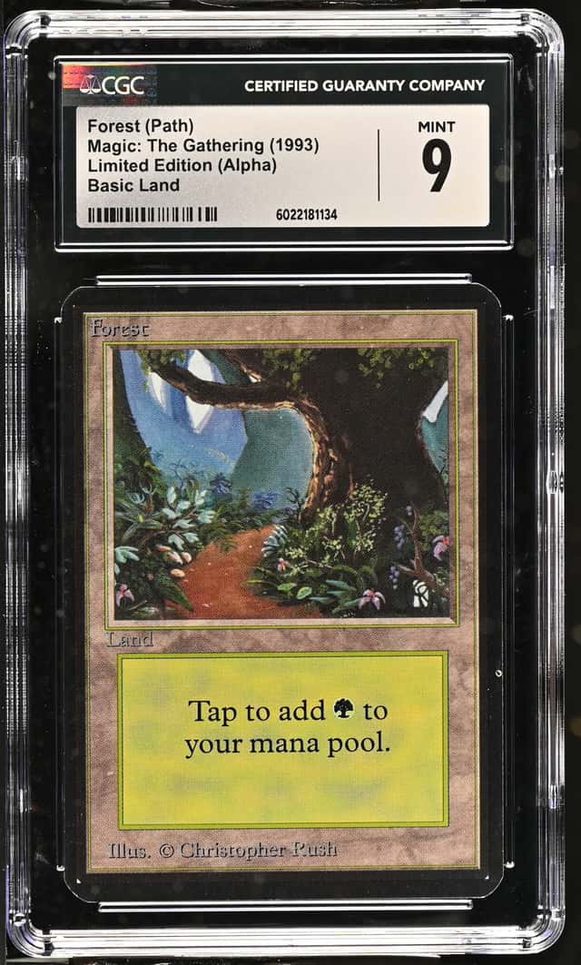 Forest (Path)