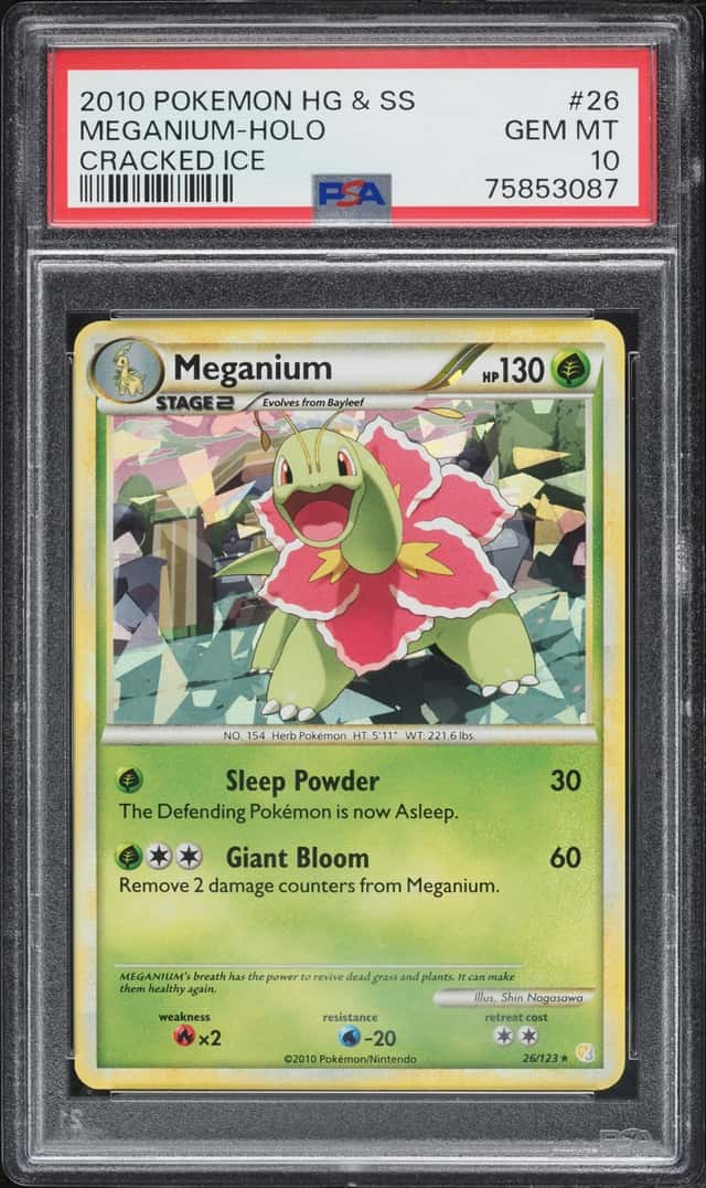 Meganium