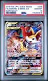 Charizard & Braixen Gx