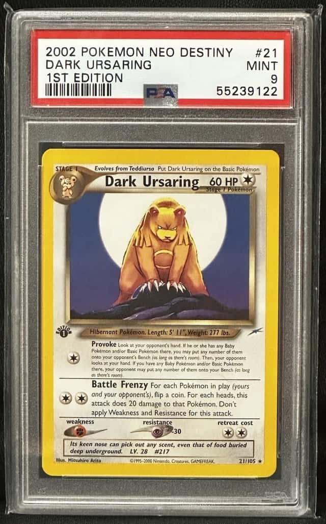 Dark Ursaring