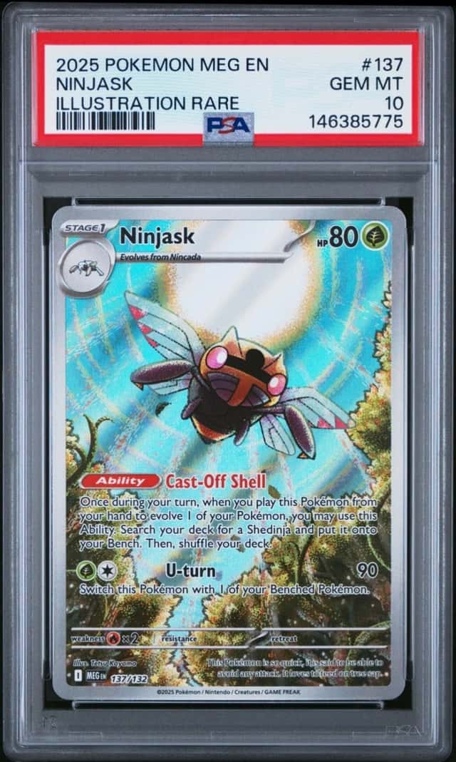 Ninjask