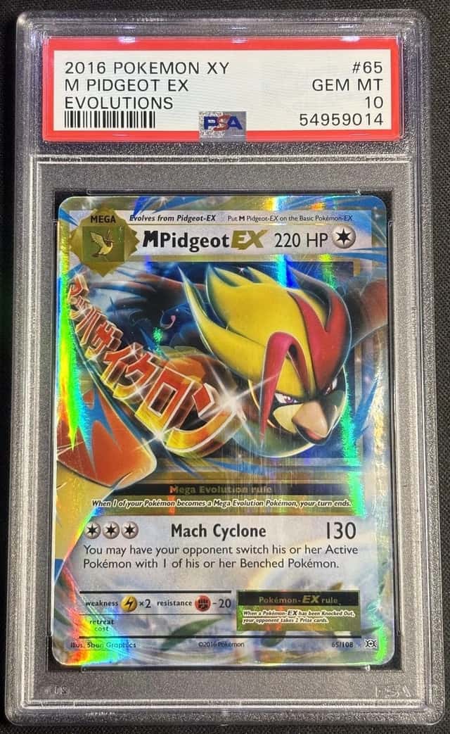 M Pidgeot EX