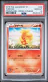 Torchic
