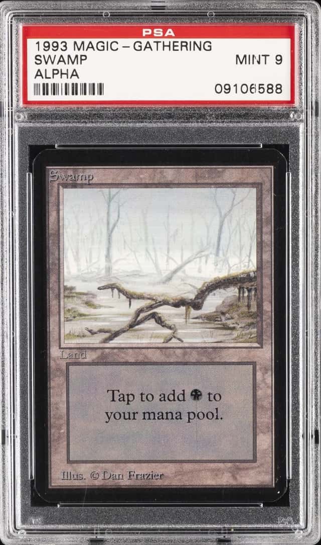 Swamp