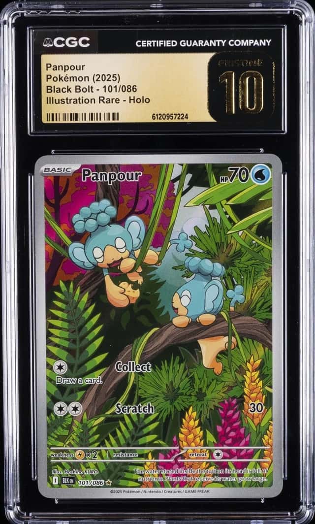 Panpour