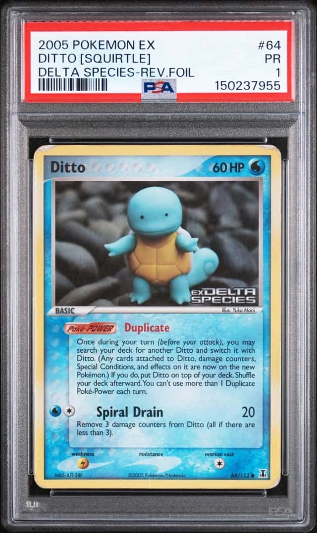 Ditto [Squirtle]