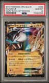 Raikou Ex