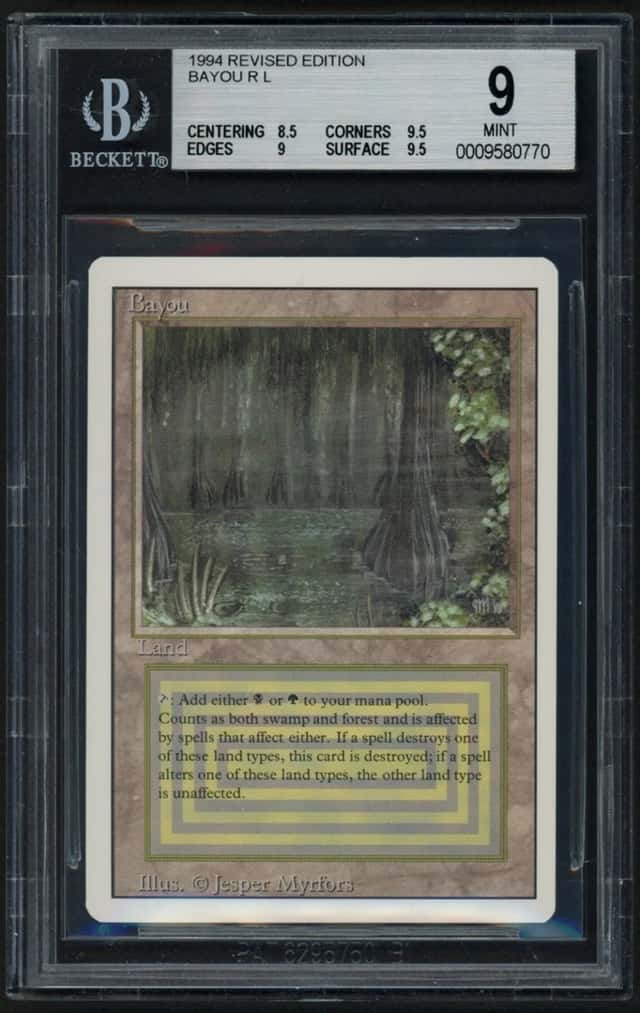 Bayou