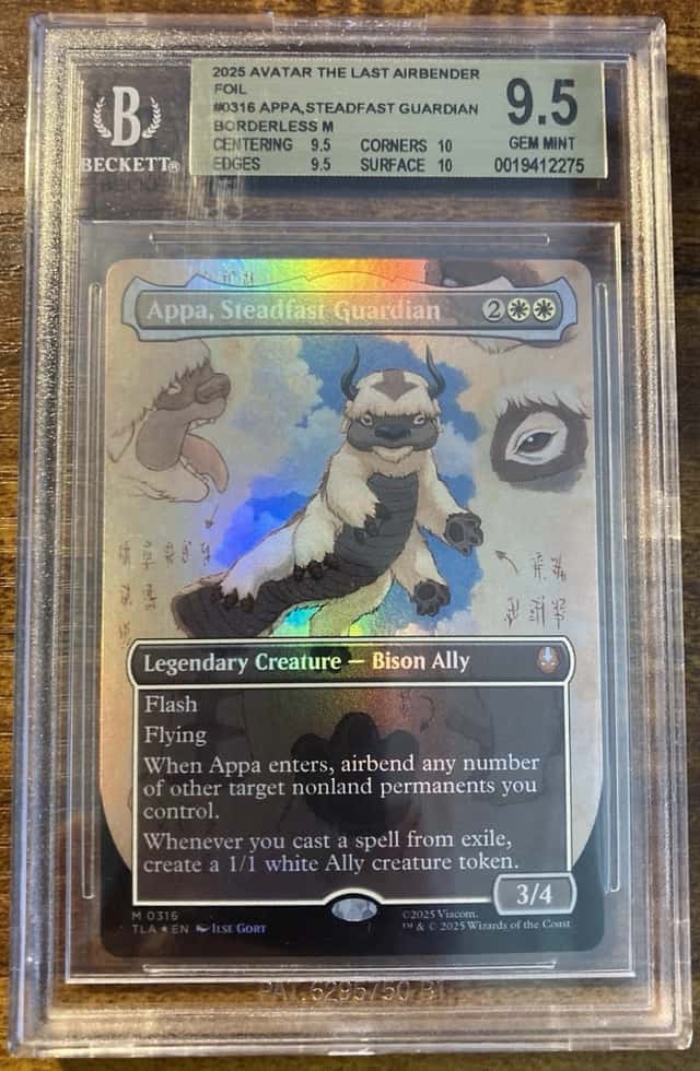 Appa, Steadfast Guardian