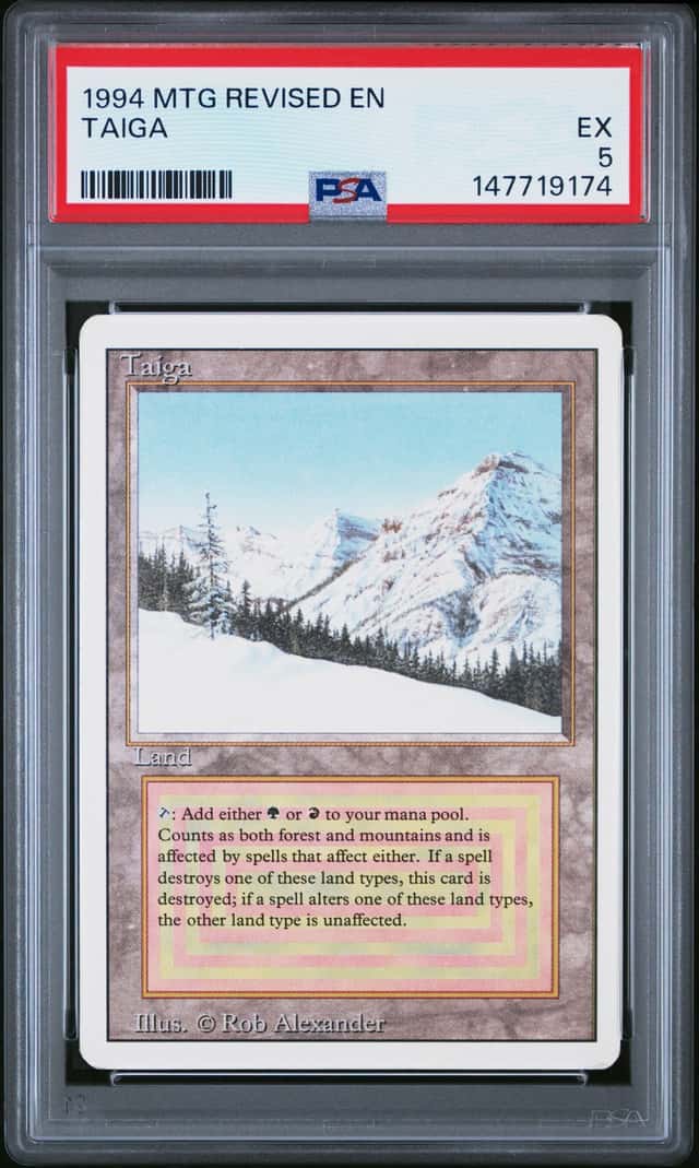 Taiga