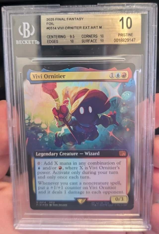 Vivi Ornitier