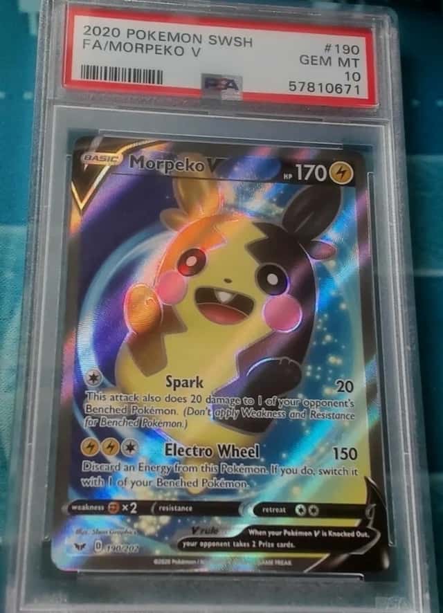 Morpeko V