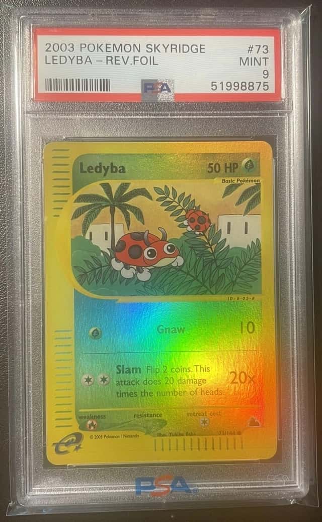 Ledyba