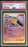 Numel