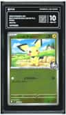 Ethan'S Pichu