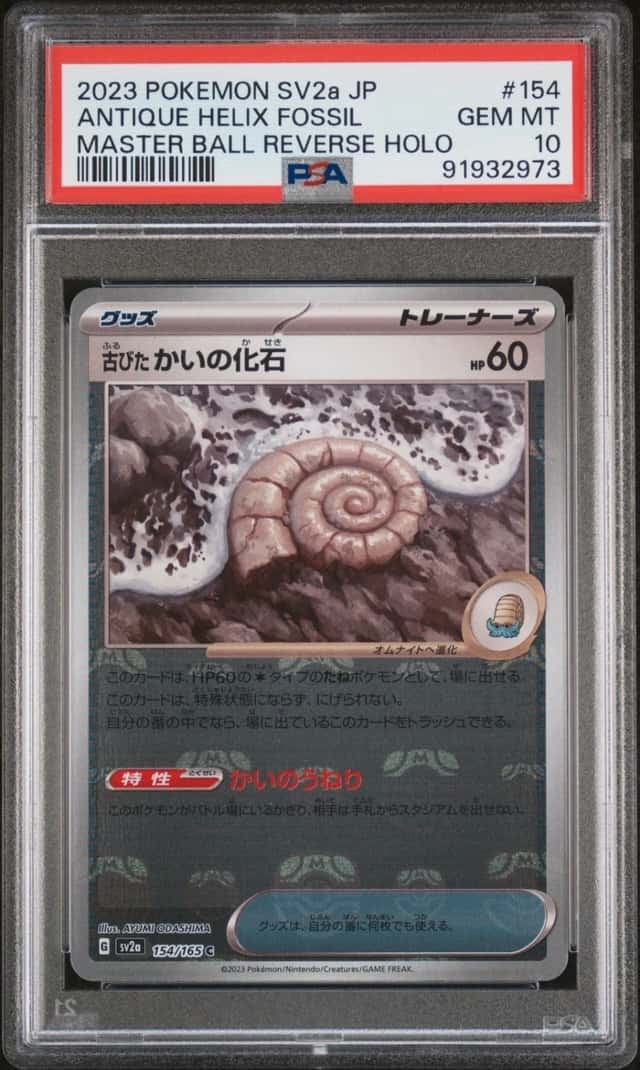 Antique Helix Fossil