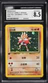 Hitmonchan